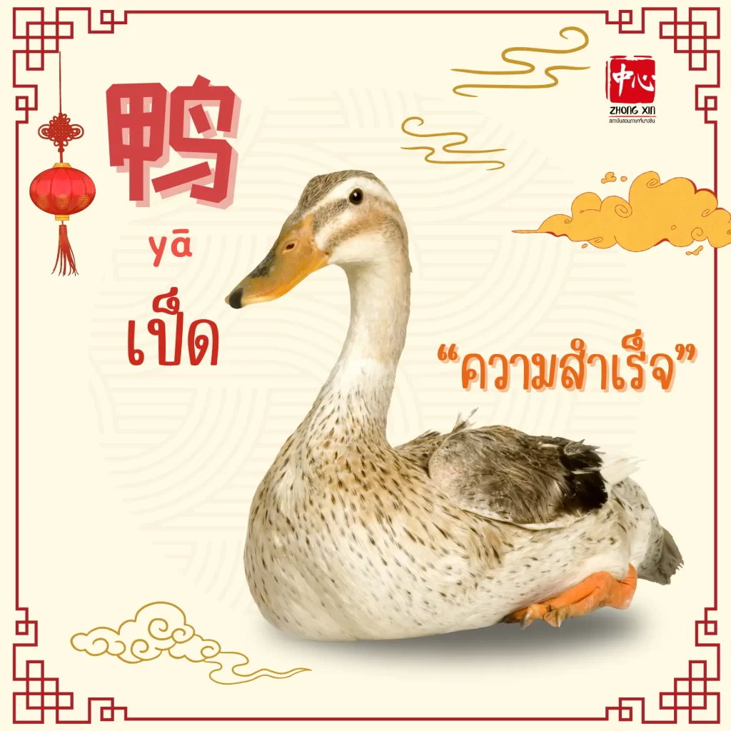 อาหารมงคล ต้อนรับวันตรุษจีน3